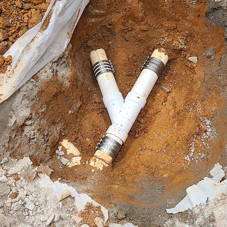 Tree roots vs sewer lines upstate south carolina neighborhoods