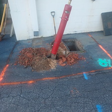 Commercial-Plumbing-Repair-for-Food-Lion-in-Greenwood 2