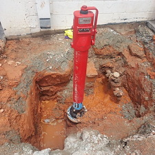 Commercial-Plumbing-Repair-for-Food-Lion-in-Greenwood 3